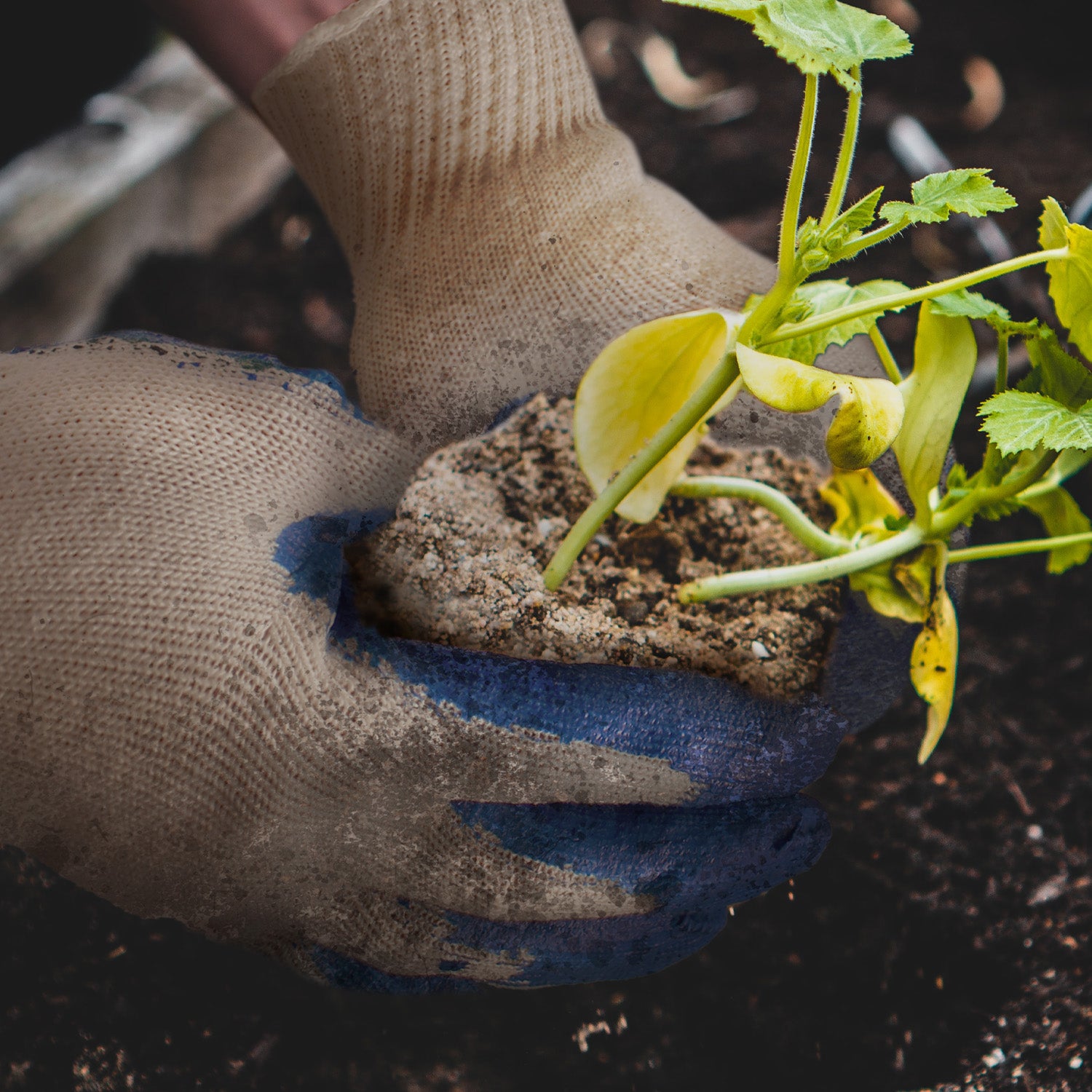 FOR GARDENING